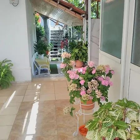 Ionian View Σαράντα