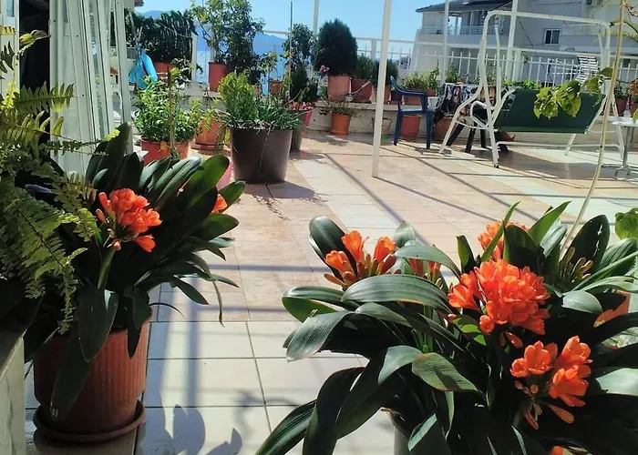 Apartment Ionian View *